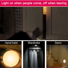 LED Motion Sensor Light - Savroo